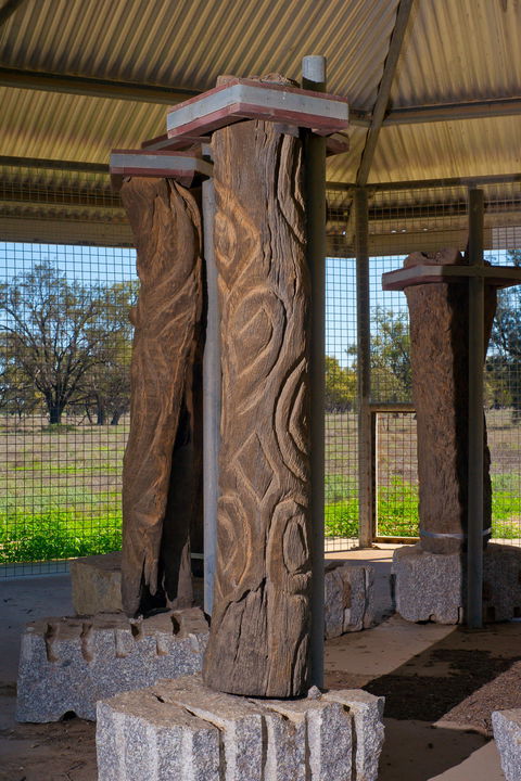 Collymongle Carved Trees - Accommodation Newcastle 1