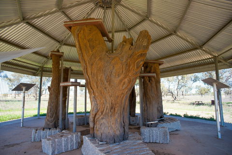 Collymongle Carved Trees - Accommodation Newcastle 2
