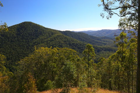 Conondale National Park - Accommodation Newcastle 0