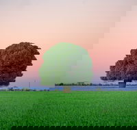 Condamine - Accommodation Newcastle