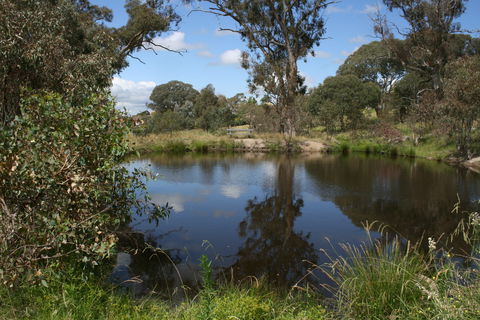 Cooleman Ridge - Accommodation Newcastle 0