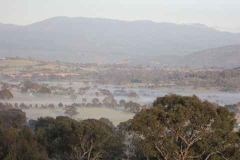 Cooleman Ridge - Accommodation Newcastle 2