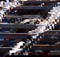 Dalby - Accommodation Newcastle