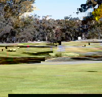 Deniliquin Golf Club - Accommodation Newcastle