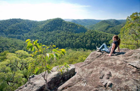 Dubbo Gully Loop Trail - Accommodation Newcastle 0