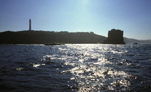 Eagle Rock Marine Sanctuary - Accommodation Newcastle 2