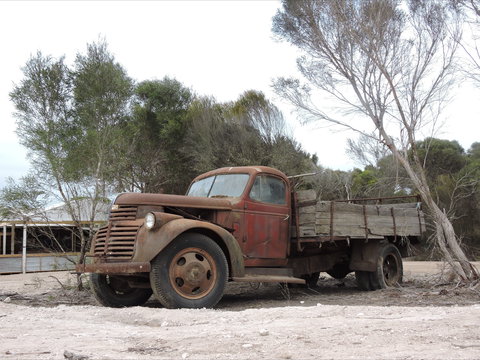 Emu Ridge Eucalyptus Pty Ltd - Accommodation Newcastle 2