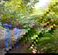 Endeavour Fern Gully Walks - Accommodation Newcastle