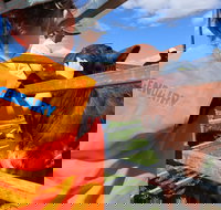 Farm Visit  Dungog - Accommodation Newcastle