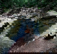 Finch Hatton Gorge - Accommodation Newcastle