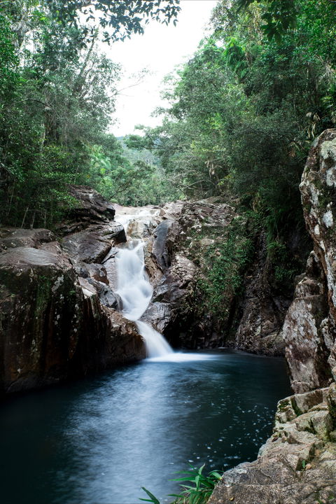 Finch Hatton Gorge - Accommodation Newcastle 1