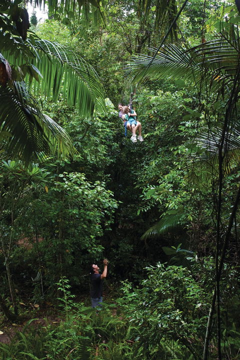 Finch Hatton Gorge - Accommodation Newcastle 2