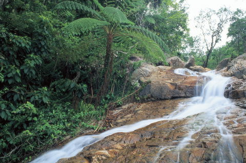 Finch Hatton - Accommodation Newcastle 0