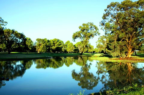 Finley Golf Club - Accommodation Newcastle 0