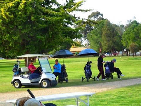 Finley Golf Club - Accommodation Newcastle 1