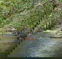 Florence Creek walk - Accommodation Newcastle