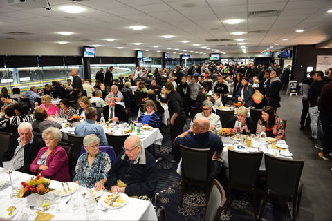 Geelong Greyhound Racing Club - The Beckley Centre - Accommodation Newcastle 1