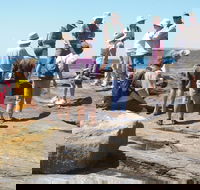 Gondwana Coast Fossil Walk - Accommodation Newcastle