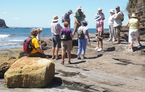 Gondwana Coast Fossil Walk - Accommodation Newcastle 0