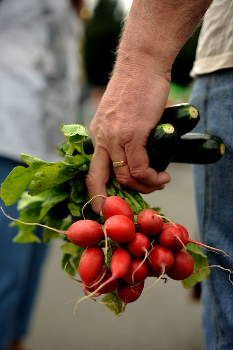 Harvest Launceston Community Farmers' Market - Accommodation Newcastle 1