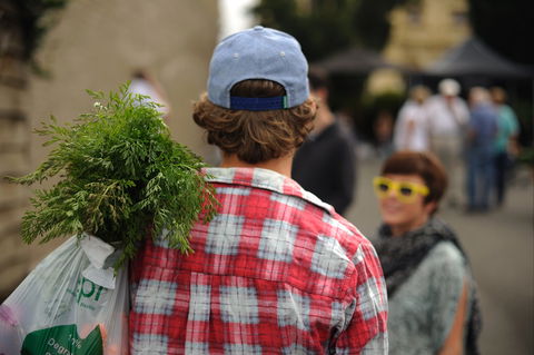Harvest Launceston Community Farmers' Market - Accommodation Newcastle 2