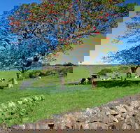 Historic Dry Stone Walls Kiama - Accommodation Newcastle