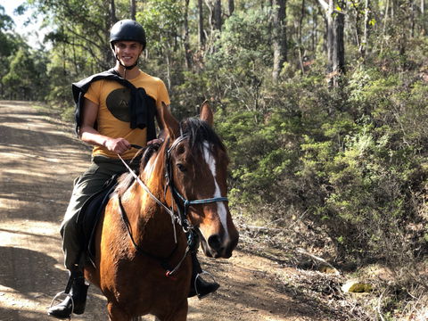 Horse Riding Tasmania - Accommodation Newcastle 2