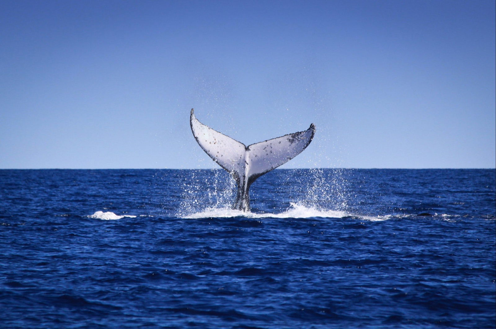 Exmouth Gulf WA Accommodation Newcastle