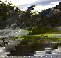 Hunter Wetlands Centre - Accommodation Newcastle