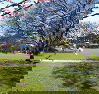 Koshigaya Park - Accommodation Newcastle