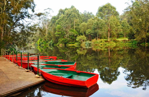 Lane Cove National Park - Accommodation Newcastle 0