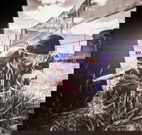 Luddenham Raceway Paintball - Accommodation Newcastle