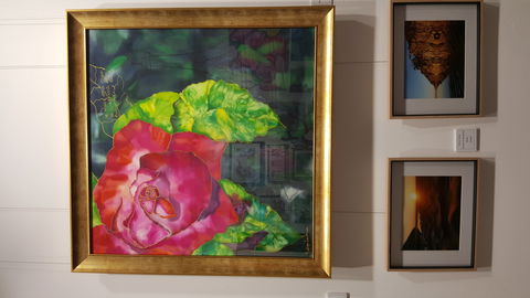 Macleay Valley Community Art Gallery - Accommodation Newcastle 0