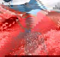 Maitland Aquatic Centre - Accommodation Newcastle