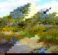 Mansfield Mullum Wetlands - Accommodation Newcastle