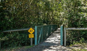 Mermaid Lookout Track