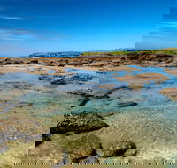 Moonee Beach trail - Accommodation Newcastle