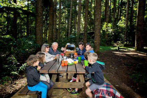 Mount Yarrahapinni Lookout - Accommodation Newcastle 1