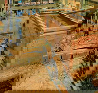 Mountain Maid gold mine - Accommodation Newcastle