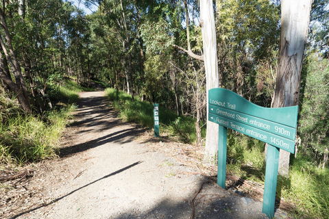 Mt Coot-tha Tourist Drive - Accommodation Newcastle 0