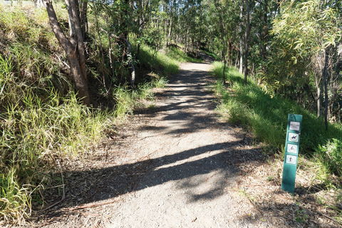 Mt Coot-tha Tourist Drive - Accommodation Newcastle 2