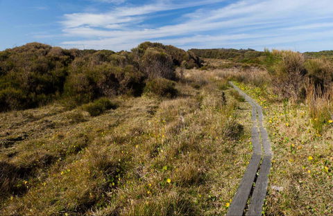 Murramarang Aboriginal Area Walking Track - Accommodation Newcastle 0