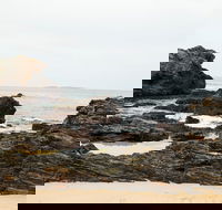 Mystery Bay Short Walk - Accommodation Newcastle