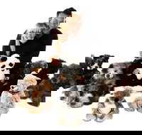 Nanas Teddies and Toys - Accommodation Newcastle