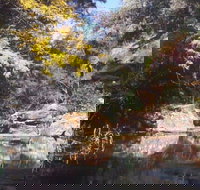 Pheasants Nest - Accommodation Newcastle