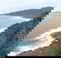 Pretty Beach to Snapper Point Walking Track - Accommodation Newcastle