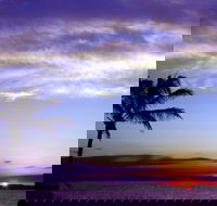 Quoin Island Retreat and Turtle Rehabilitation Centre - Accommodation Newcastle