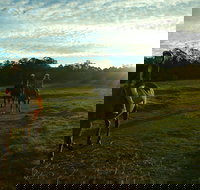 Scenic NSW Horse Riding Centre - Accommodation Newcastle