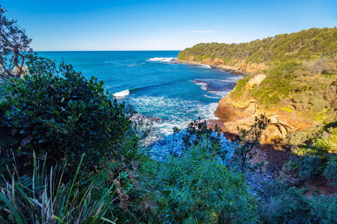 Shellgrit Beach (Red Head) - Accommodation Newcastle 0