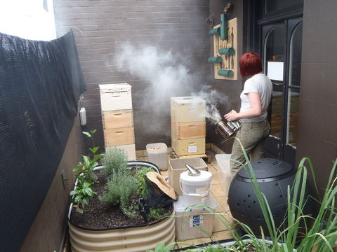 The Urban Beehive Port Botany - Accommodation Newcastle 0